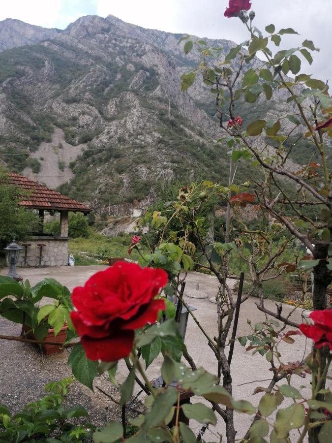 Visit Dreznica Villa Mostar Exterior photo